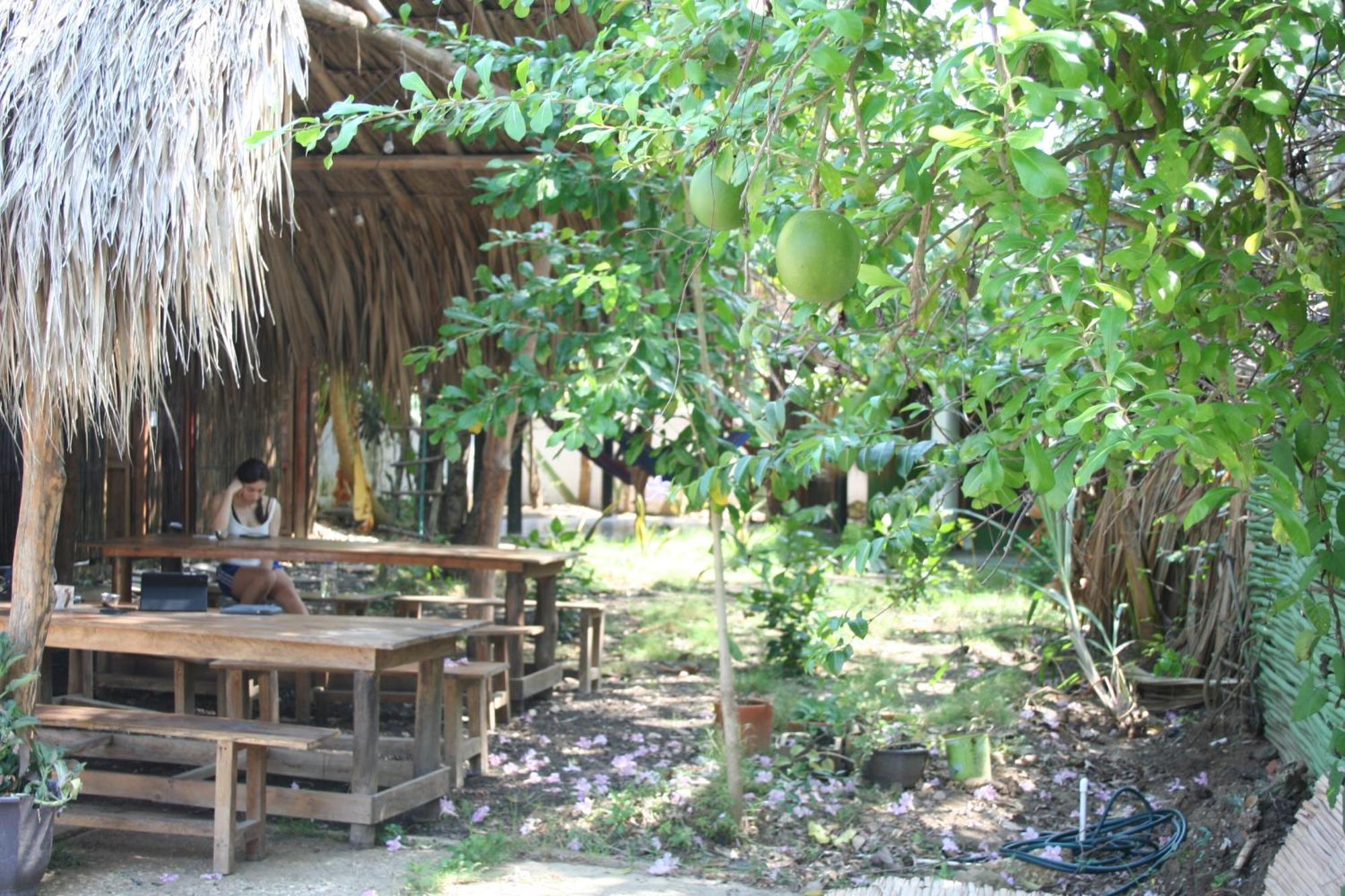 Hostel Nugeku Rincón Extérieur photo